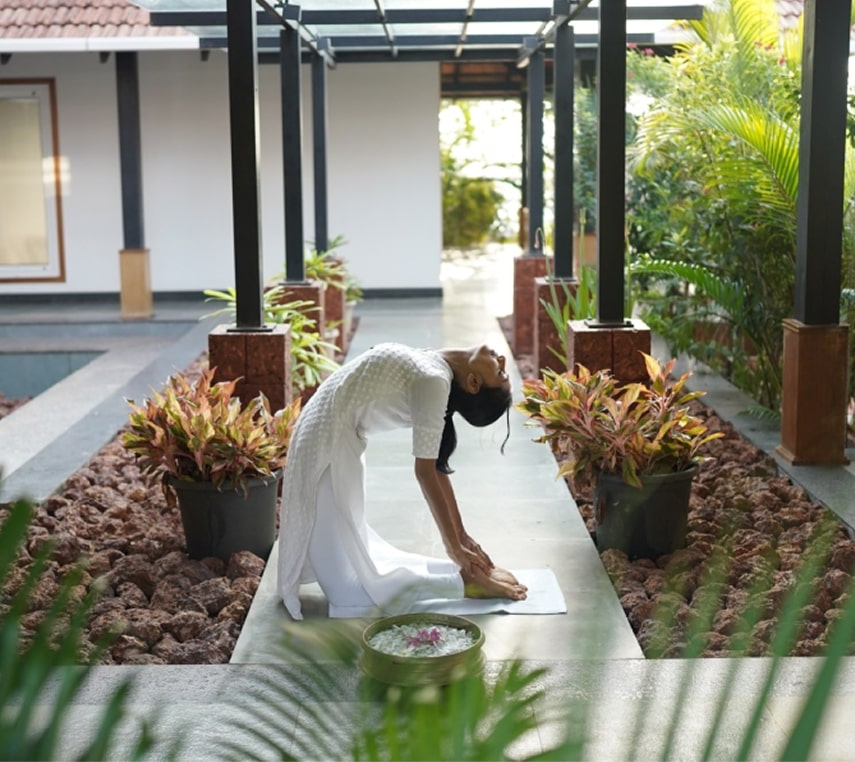 Mindfulness & Meditation Retreats