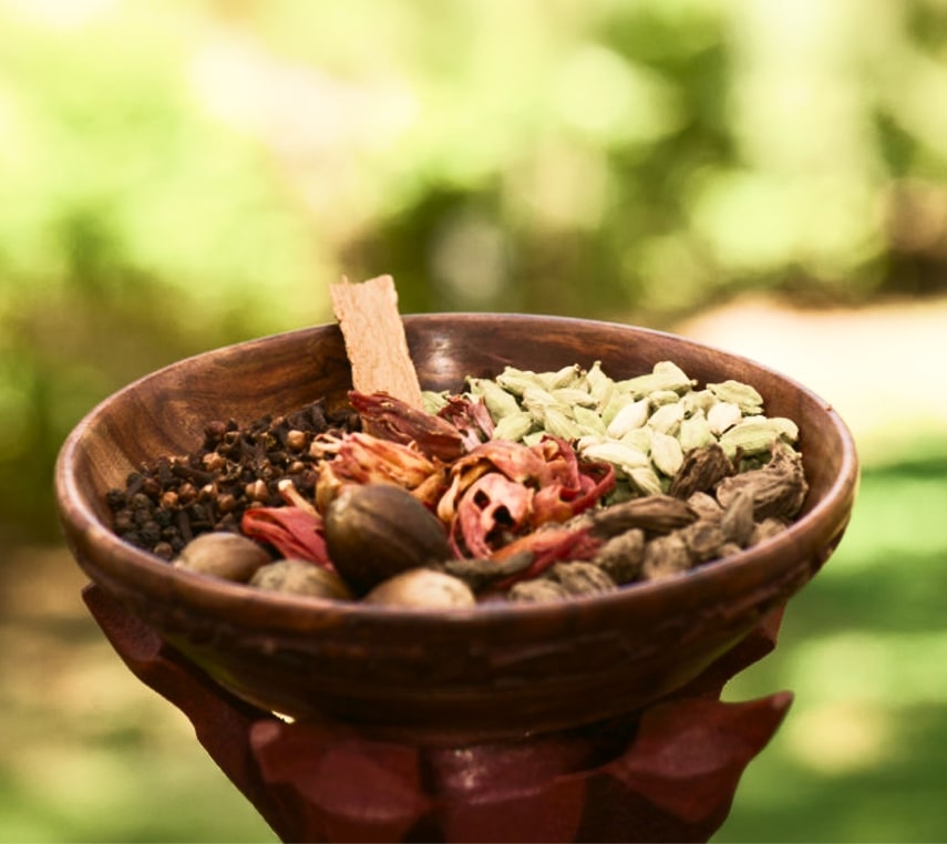 Yoga Amidst The Spice Plantations