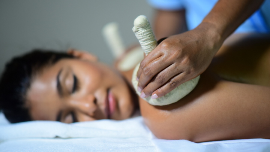 Ayurvedic and Wellness Programs